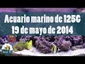 Acuario Marino de 125G - Estatus de mi pecera