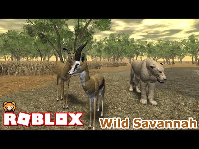 Roblox Wild Savannah 2 A Day In The Life As A Stork Gazelle - how to climb trees in the roblox game wild savannah robux