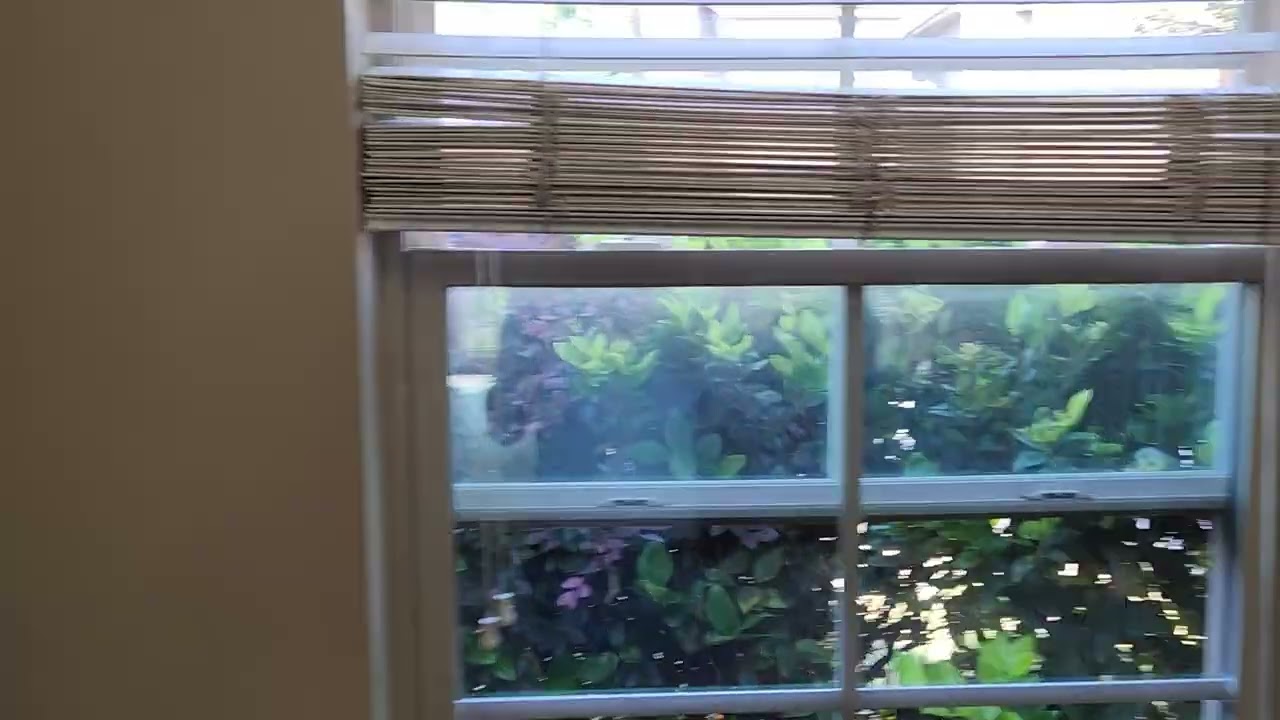 Missing mosquito net kitchen window 5568 Connor Drive Evans Georgia pre move June 2023