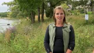 Shoreland Restoration