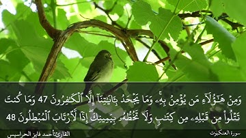 الصفحة 402 سورة العنكبوت بصوت القارئ المهندس أحمد فايز الحراسيس