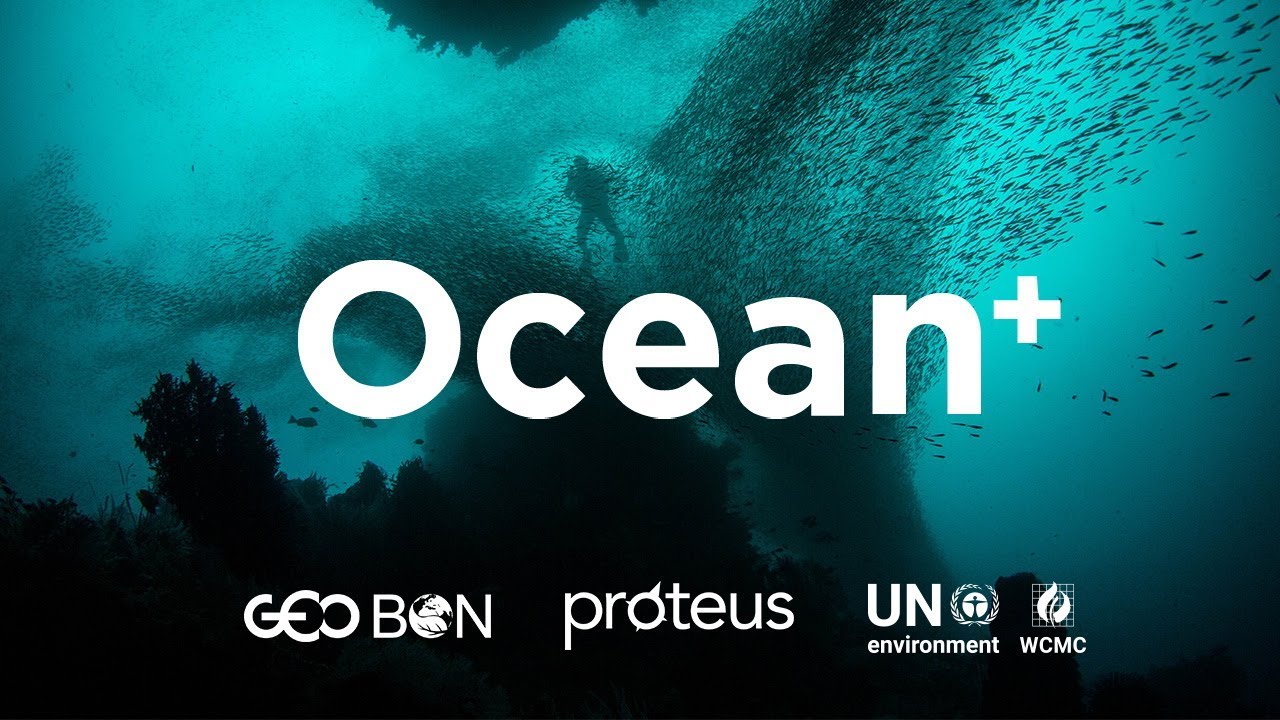 Ocean+ - YouTube