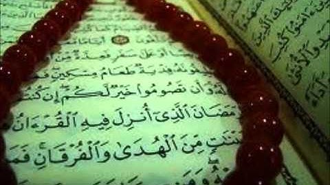 مقطع قصير للقارئ نايف العويد