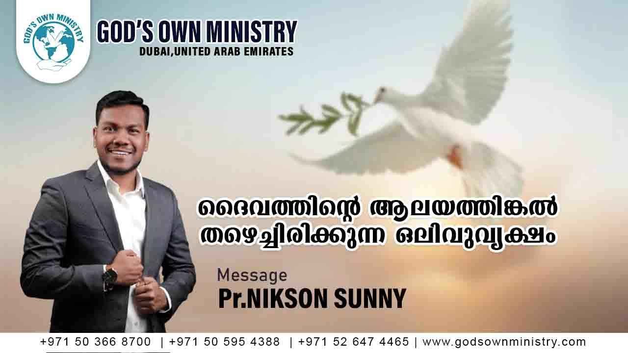 ദൈവത്തിന്റെ ആലയത്തിങ്കൽ തഴെച്ചിരിക്കുന്ന ഒലിവുവൃക്ഷം| Pr. NIKSON SUNNY