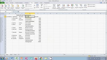 Ordenamiento de Datos y Generación de Subtotales en Microsoft Excel