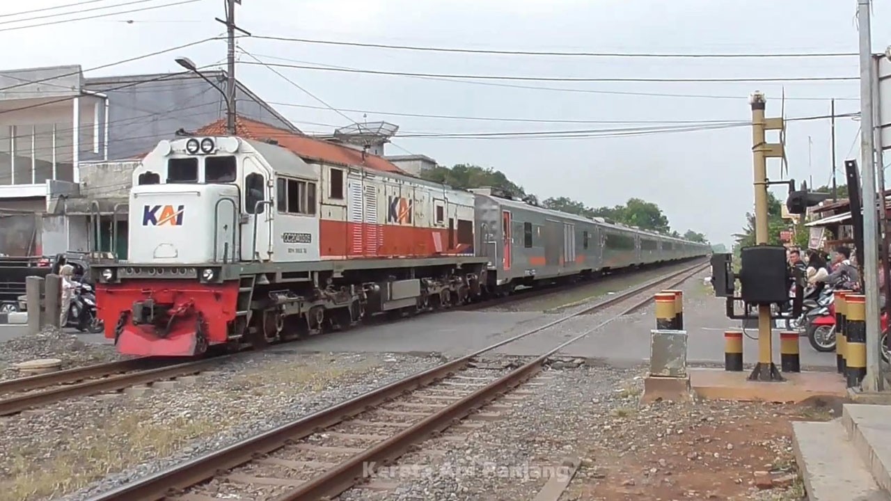 Kereta Api Panjang Lampu Menyala Terobos Hutan Lokomotif CC206 CC203 Melaju Cepat Menuju Arah Timur
