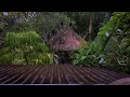 Heavy Rain Drops on Tin Roof | Falling RAIN Sounds for Relaxing & Insomnia | Nature Sounds Sleep Aid