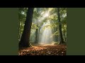 风声鸟鸣辅助助眠解压引导（八音盒）