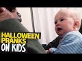 Best Halloween Scares | Parents Scaring Their Children 😂