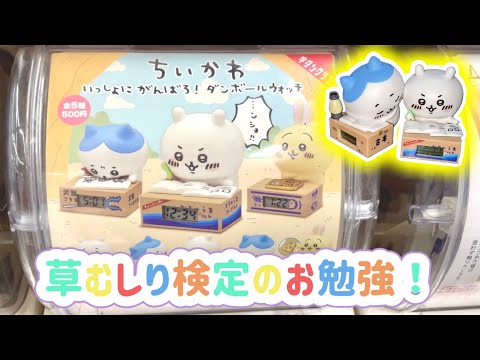 ちいかわ　ガチャコンプ　勉強 ちいかわ」一緒に勉強して労働しよッ！癒やされて便利な大人気