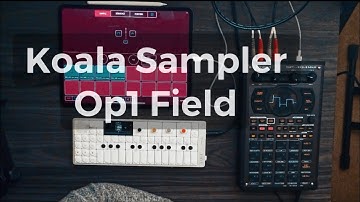 Koala Sampler Midi Out to OP1 Field