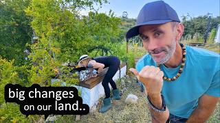 OFF GRID LIVING on REMOTE LAND in PORTUGAL - WE HAVE A POND! (HOMESTEADING)