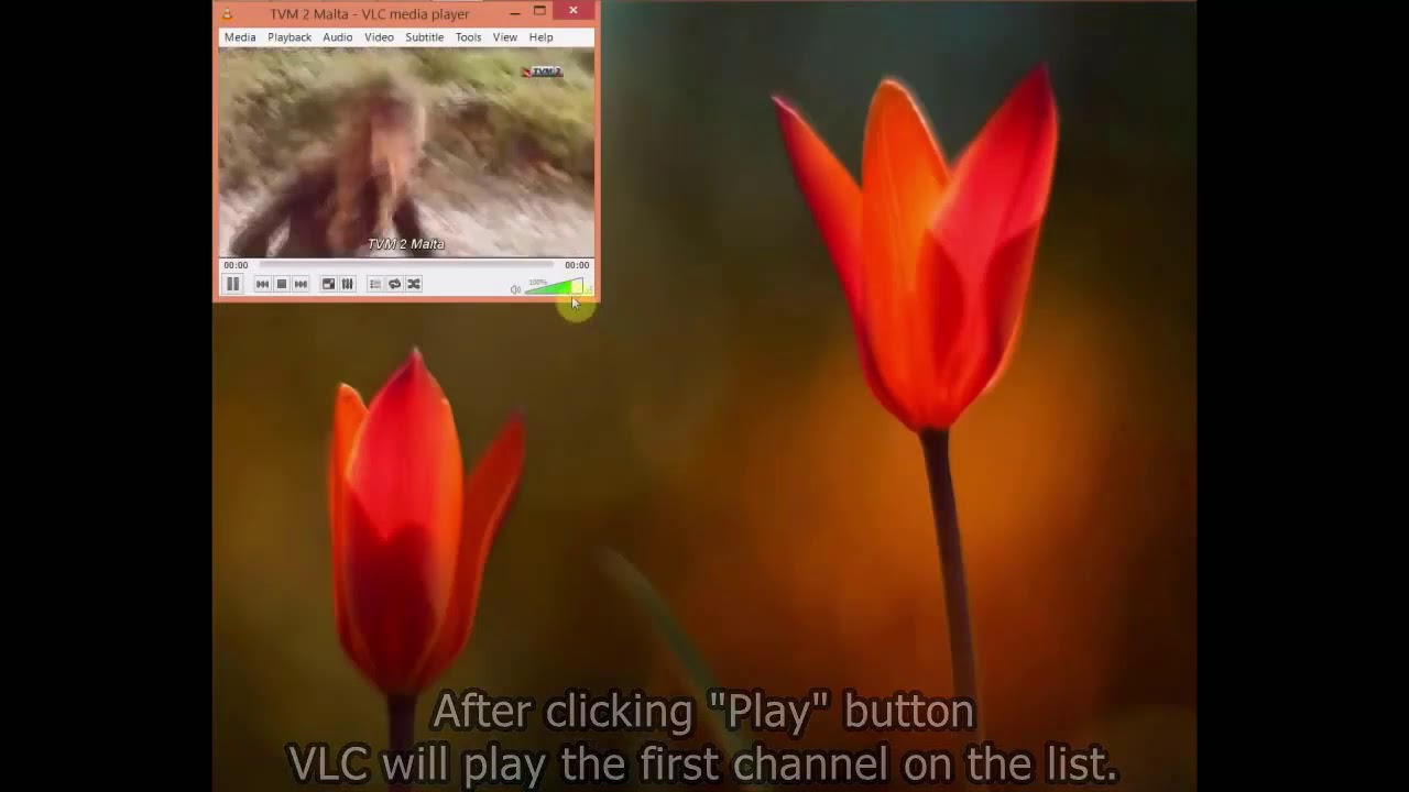 SuperGoogie How to install SuperGoogie on VLC