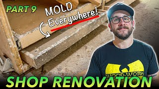 WORKSHOP RENOVATION PART 9 : Trim, Mold Remediation &amp; Paint Prep