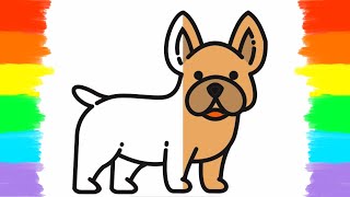 How to Draw and Color French Pulldog Coloring Page