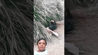 #funny #fail #comedy #movimientoelamorhacealmun sí te gusta el vídeo dale like suscríbete