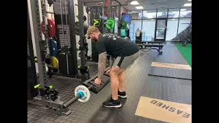 Neutral Grip Barbell Bent-over Row