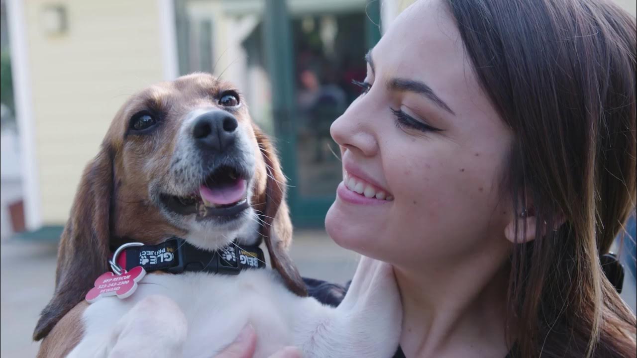 Snowflakes Rescue YouTube