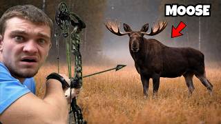 2025 New Brunswick Moose Hunt With KENDALL GRAY!