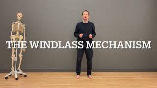 A Great Foot is Supple & Stiff - Can You Handle the Opposites? The Windlass Mechanism
