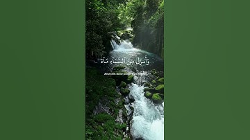 "يا أيها الناس اعبدوا ربكم | A Call to Worship – Al-Baqarah 21-22" #تلاوة ♥