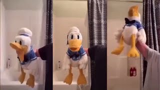 50 Minutes Of Donald Duck TikToks (TRY NOT TO LAUGH OR SMILE CHALLENGE)