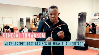 Tunwakom Muay Lertrit Master | Lost Strikes & Defenses of Muay Thai Heritage