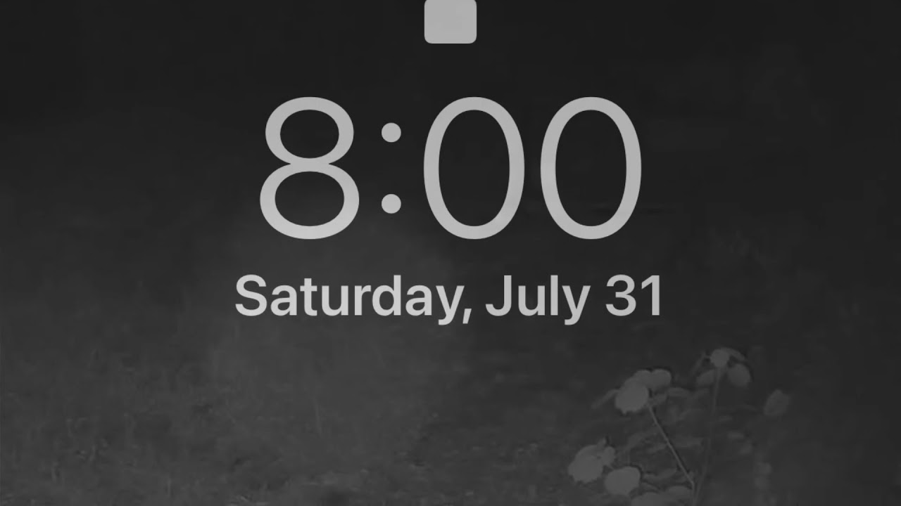 July 31st 2021 My Day In 123 Seconds YouTube july-31st-2021-my-day-in-123-seconds-youtube