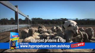 DOGPRO WORKING DOG PLUS 30 SEC TV COMMERCIAL