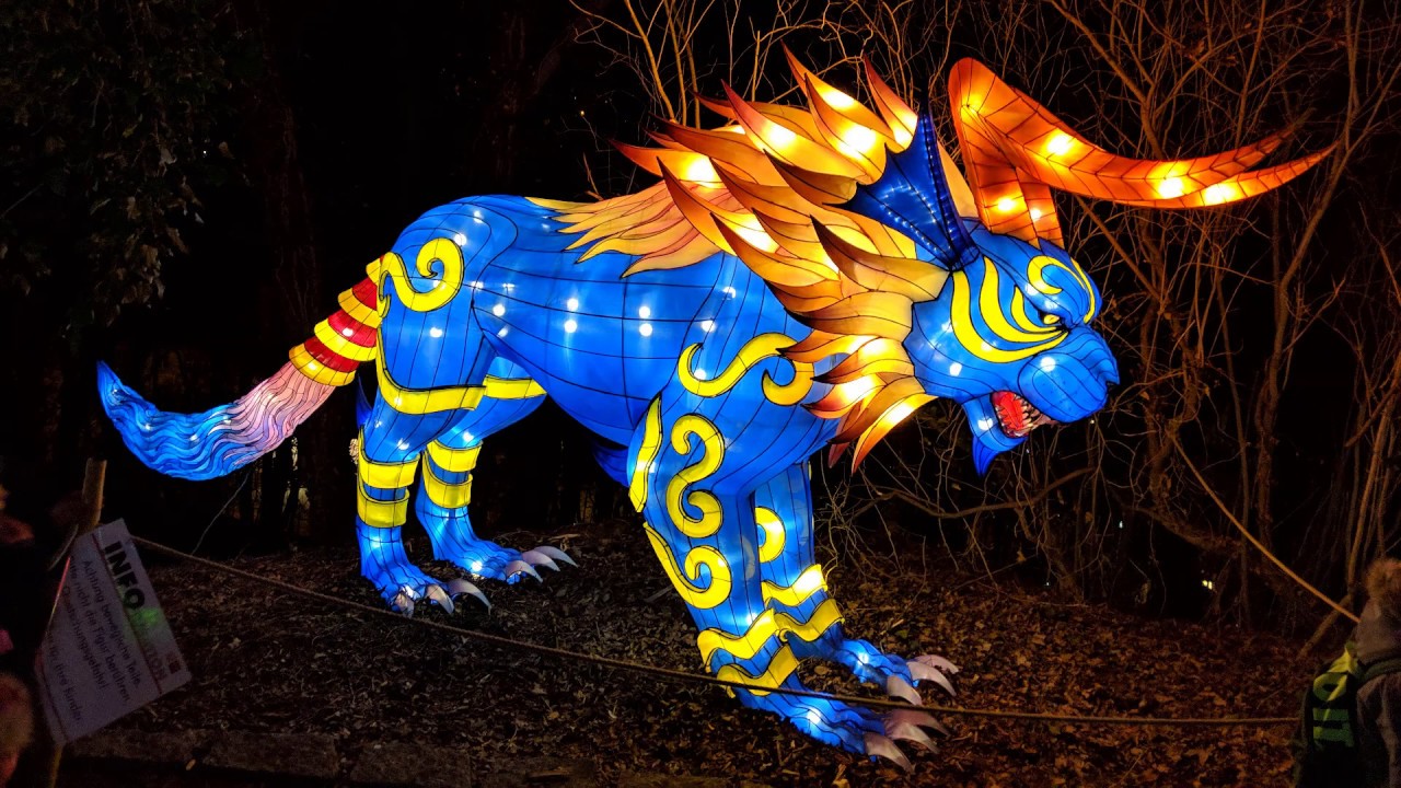 Magische Lichterwelten 2019 Einmalige Lichtershow im Bergzoo Halle