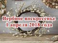 Вербное воскресенье 1 апреля 2018 года