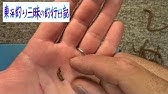 砂浜からキス シロギス 投げ釣り入門編 エサの付け方基礎知識 和歌山 釣太郎 Youtube