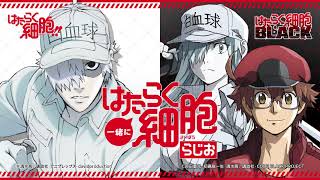 【公式】一緒に「はたらく細胞」らじお 第10回 (2021.5.12配信分)