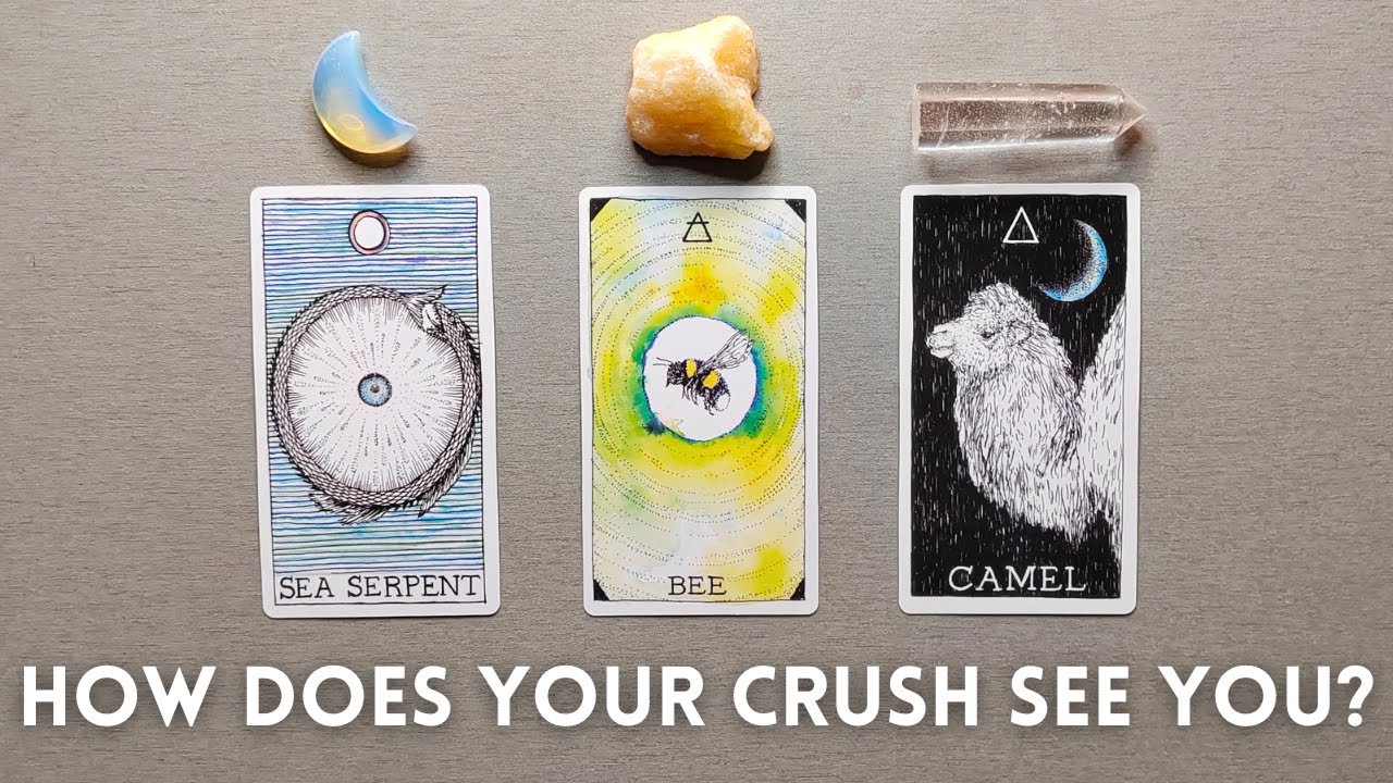 💘 How Does Your CRUSH See YOU? 😍❤️‍🔥 Pick A Card 🔮✨ Timeless Love Tarot Reading