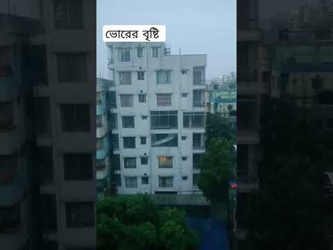 ভোরের বৃষ্টি