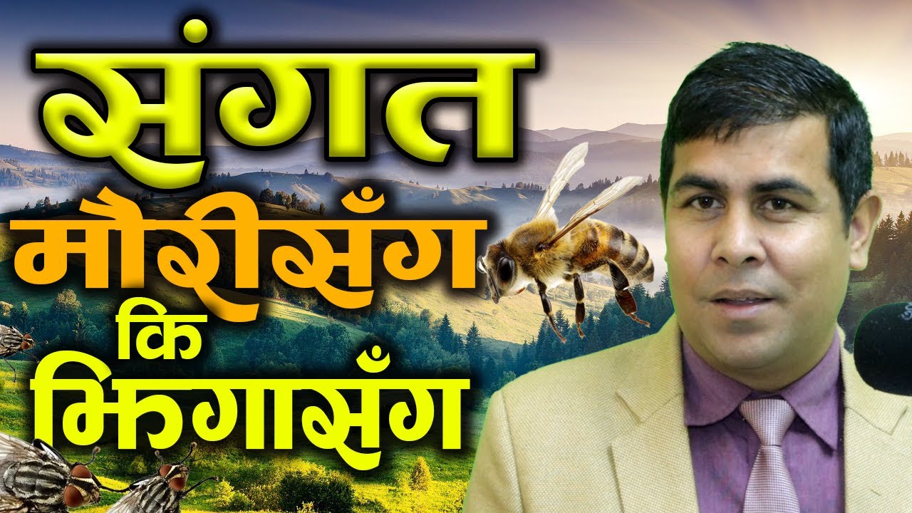 संगत मौरीसँग कि झिंगासँग Nepali Motivation Motive kura Ramhari Thapa YouTube