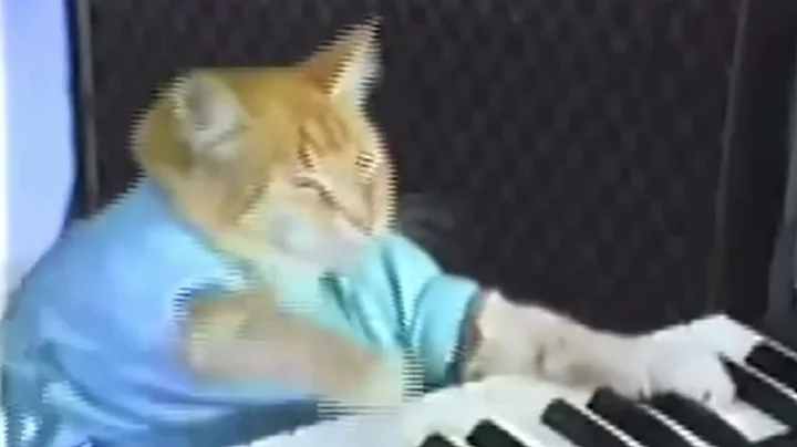 Keyboard Cat 1 Hour