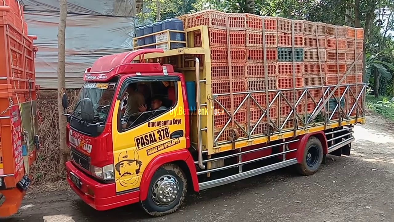 TRUK AYAM DEPOK NGUMPUL DADI 1, APIK APIK