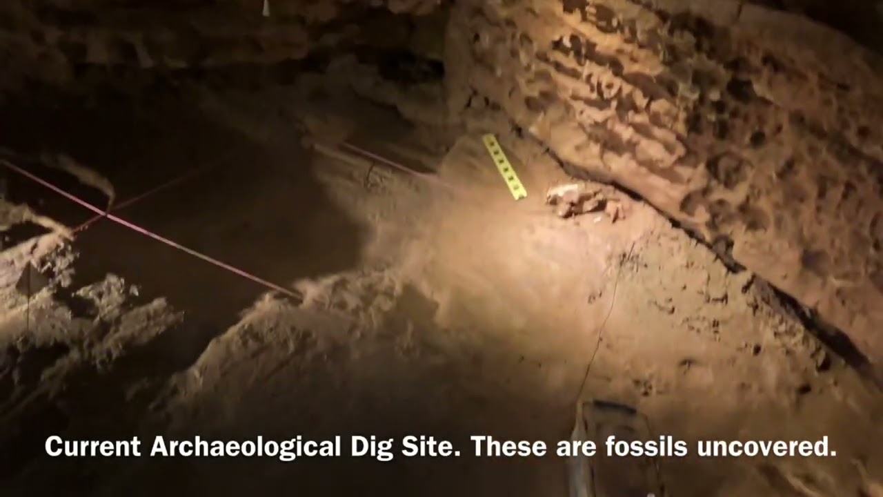 Explore the Hidden Depths of the Incredible Indiana Caverns! - YouTube
