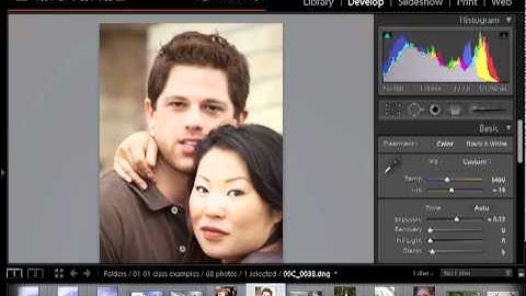 Tutorial on Using the Adjustment Brush in Photoshop Lightroom to Make Local Changes