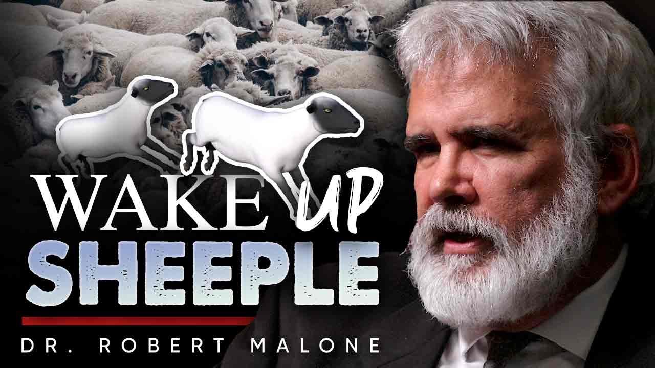 THE PSYOPS OF THE COVID GASLIGHTING OF THE POPULATION by Dr Robert Malone 