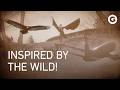 Nature’s Influence: The Animals That Inspired Humanity’s Greatest Inventions | Full Documentary
