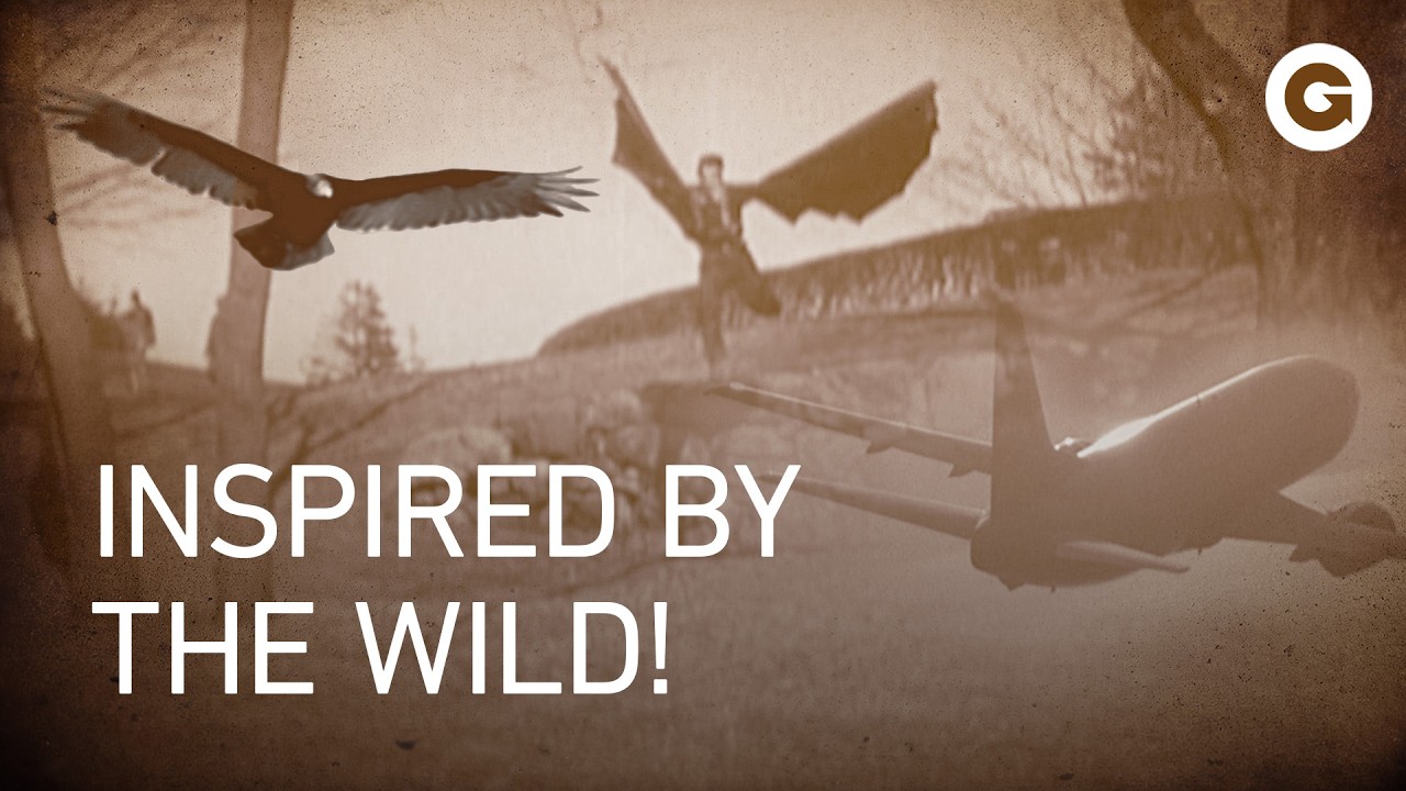 Влияние природы: животные, вдохновившие человечество на величайшие изобретения | Полный документа...