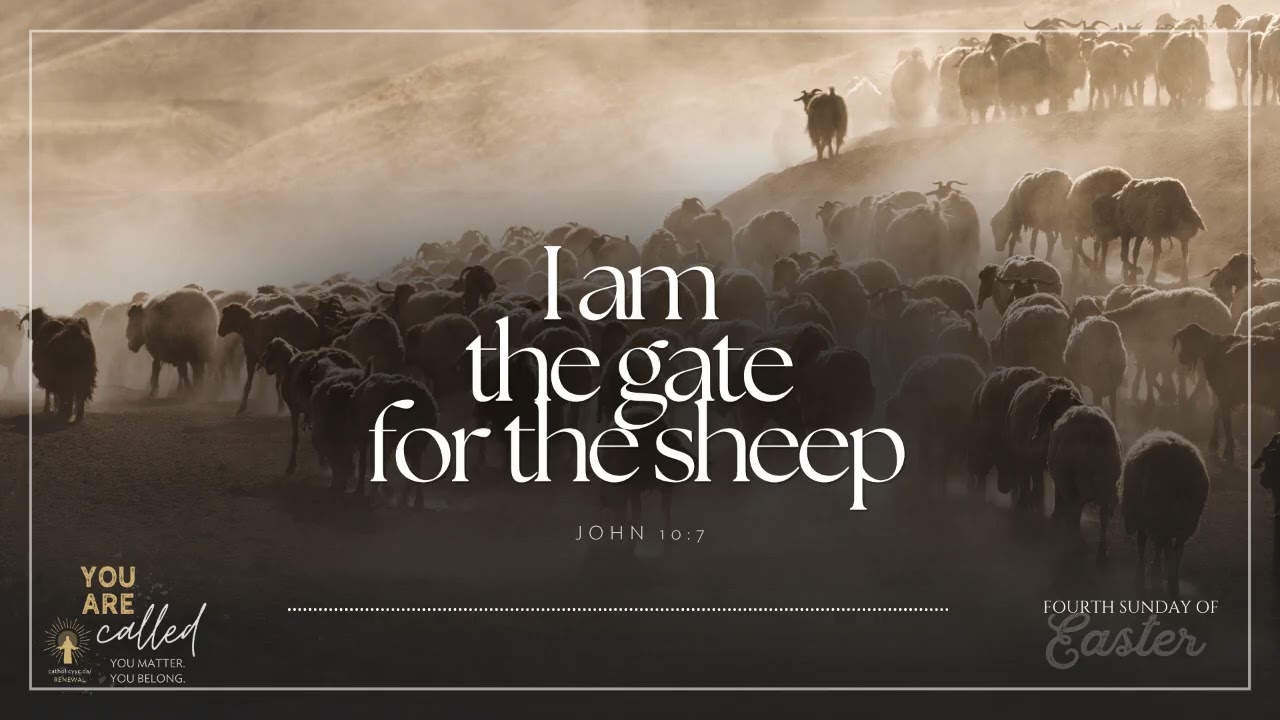 Gospel Reflection on John 10:1-10