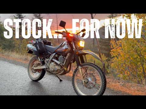 I Bought a Brand New Suzuki DR650 in 2025….. Here’s Why