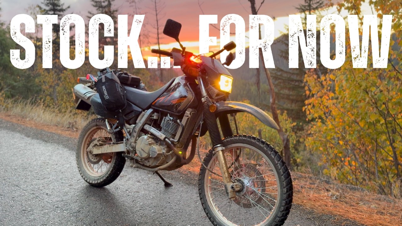 I Bought a Brand New Suzuki DR650 in 2025….. Here’s Why