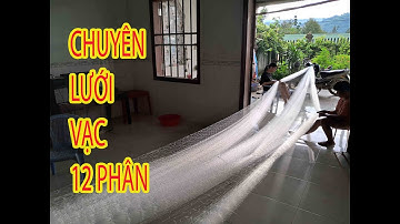 LƯỚI BẪY VẠC,LƯỚI BẪY CHIM,LƯỚI BẪY CHIM DI CƯ