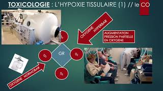 Les Antidotes-Toxicologieles Chats Noirs Du 3Sm