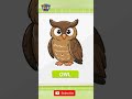 #BirdsName#BirdsForKids#LearnBirds#RainbowKidsHub#KidsLearning#PreschoolLearning#AnimalLearning