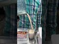 How To Make Food Foodie Streetfood Foodvlog Youtubeshorts Shorts How To Make Food Foodie Streetfood Foodvlog Youtubeshorts Shorts
